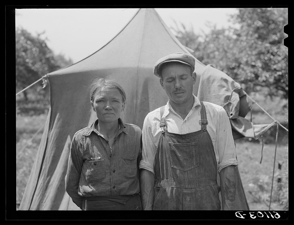 [Untitled photo, possibly related to: Migrant woman from Arkansas in cherry pickers camp. Berrien County, Michigan]. Sourced…