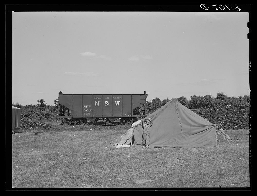 Tent occupied by family of migrant berry pickers. Berrien County, Michigan. Sourced from the Library of Congress.