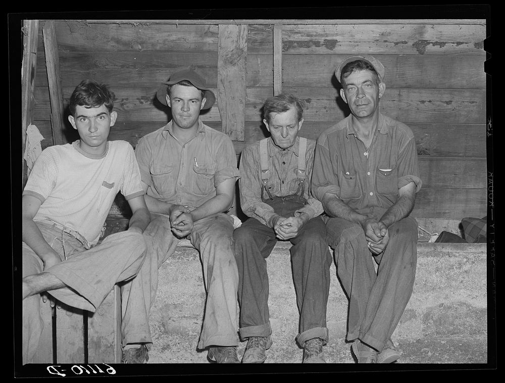 About twelve single men, migrant fruit workers, live in this old barn on property of Berrien County, Michigan, fruit grower.…
