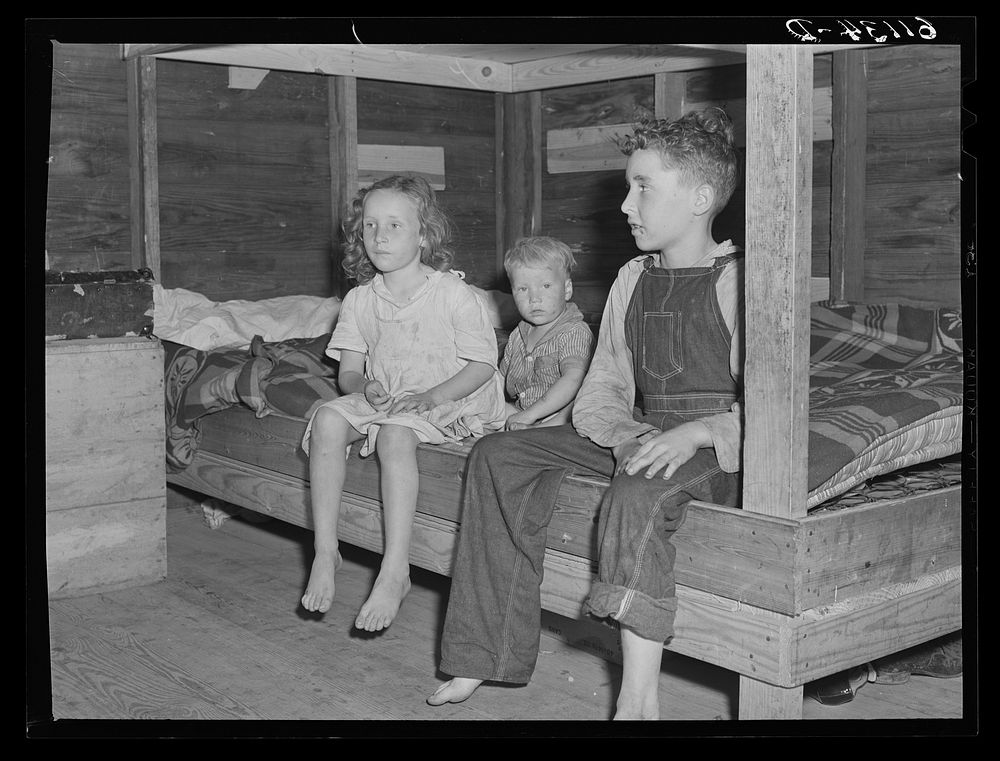 Children of migratory fruit workers living in growers' cabin. Rent one dollar and seventy-five cents a week. The father…