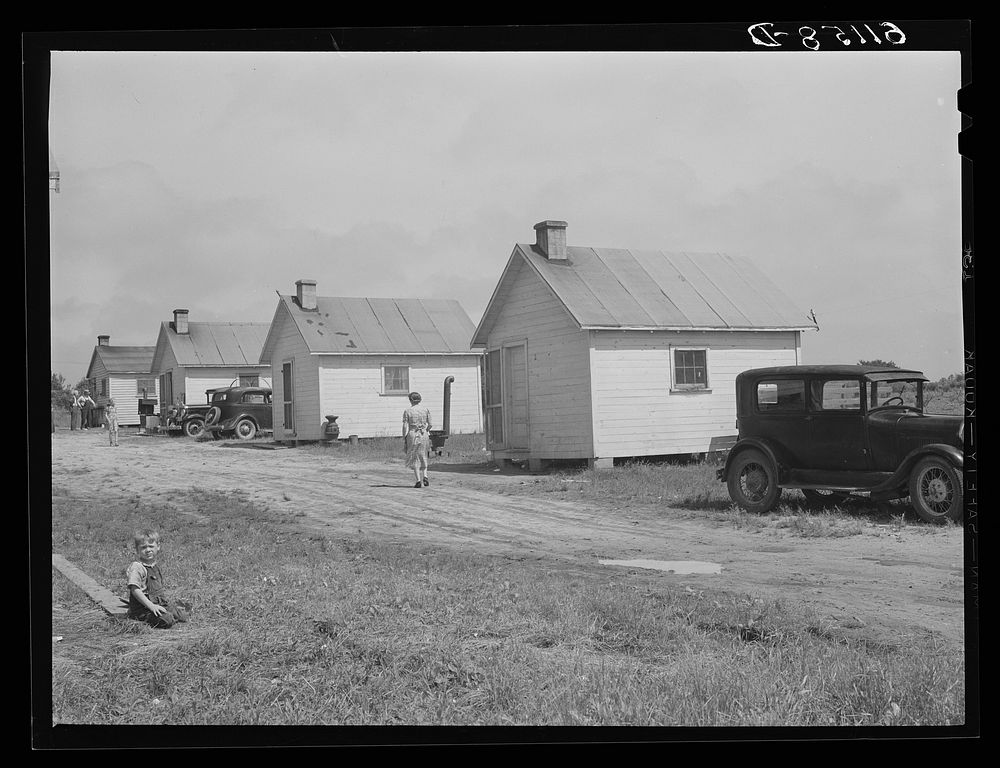 Cabins rented for one dollar and seventy-five cents a week by migratory fruit pickers and packing house workers. Berrien…