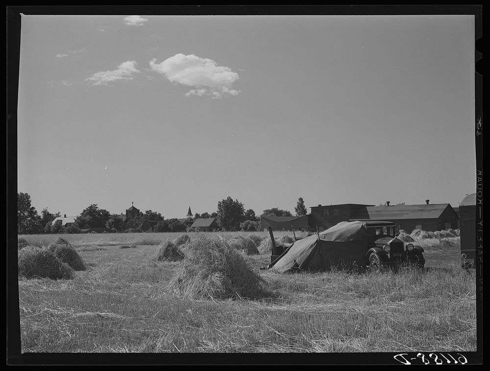 Fruit workers camp. Berrien County, Michigan. Sourced from the Library of Congress.