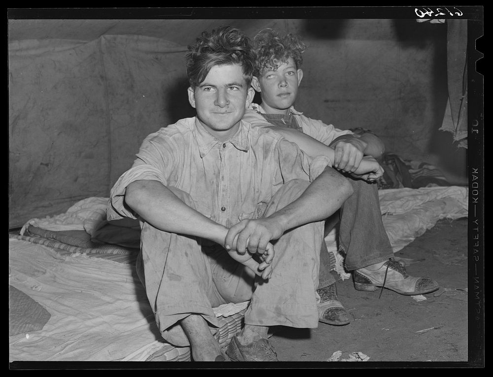 Migrant cherry pickers in their tent home. Berrien County, Michigan. Sourced from the Library of Congress.