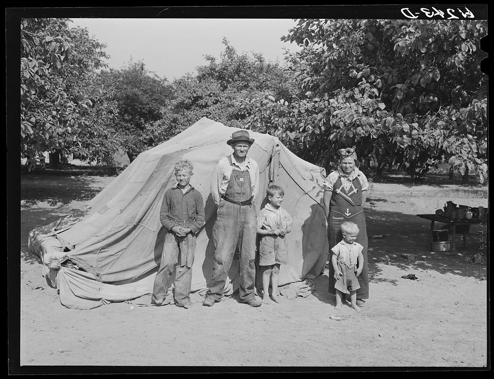 Family from Arkansas living in tent on fruit grower's property. Berrien County, Michigan. Sourced from the Library of…
