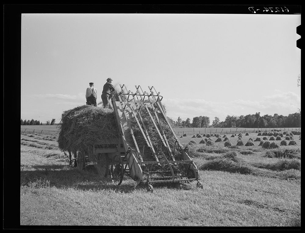 Haying. Wisconsin. Sourced from the Library of Congress.