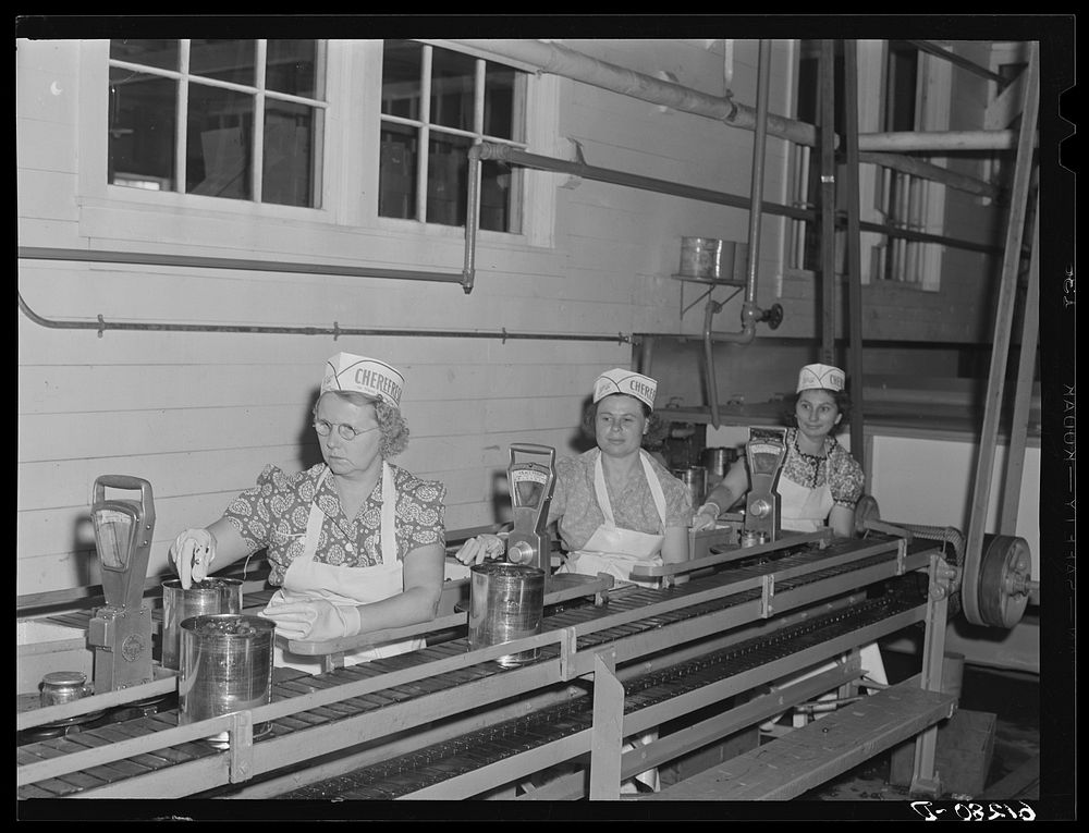 Checking weight of five-pound cans of cherries. Canning plant, Sturgeon Bay, Wisconsin. Sourced from the Library of Congress.