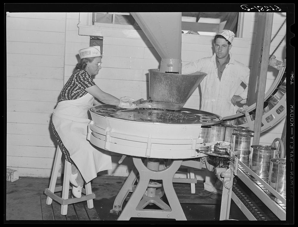 Machine which fills five-pound cans with cherries. Sturgeon Bay, Wisconsin. Sourced from the Library of Congress.