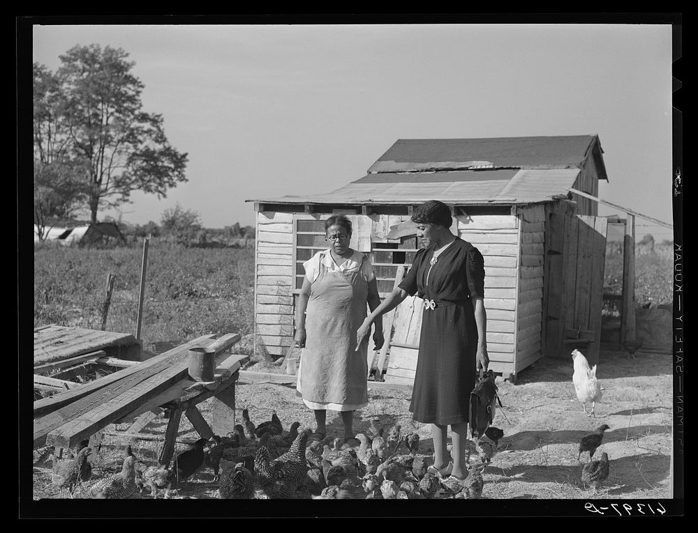 Mrs. Eugene Smith, wife of FSA (Farm Security Administration) borrower, in the chicken yard with Margarite Chappelle, home…