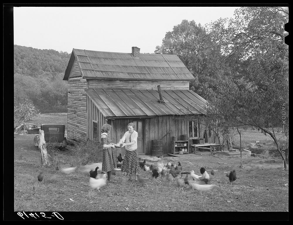 [Untitled photo, possibly related to: Lansing and daughter feeding chickens. They are FSA (Farm Security Administration)…