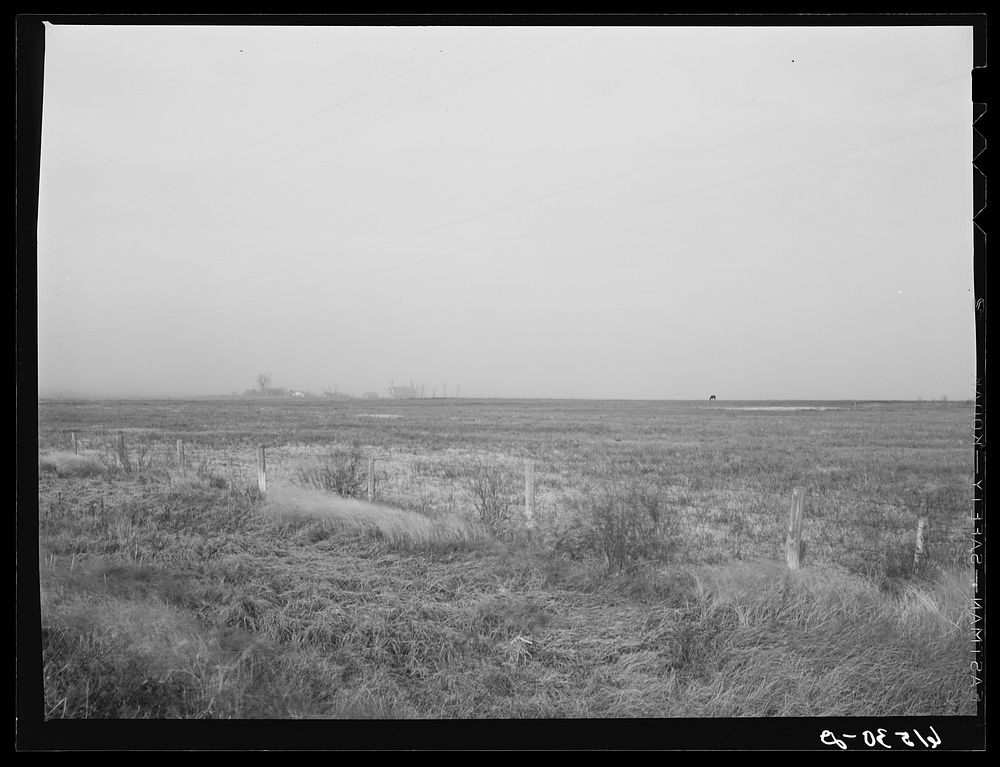 Dust storm. Ramsey County, North Dakota. Sourced from the Library of Congress.