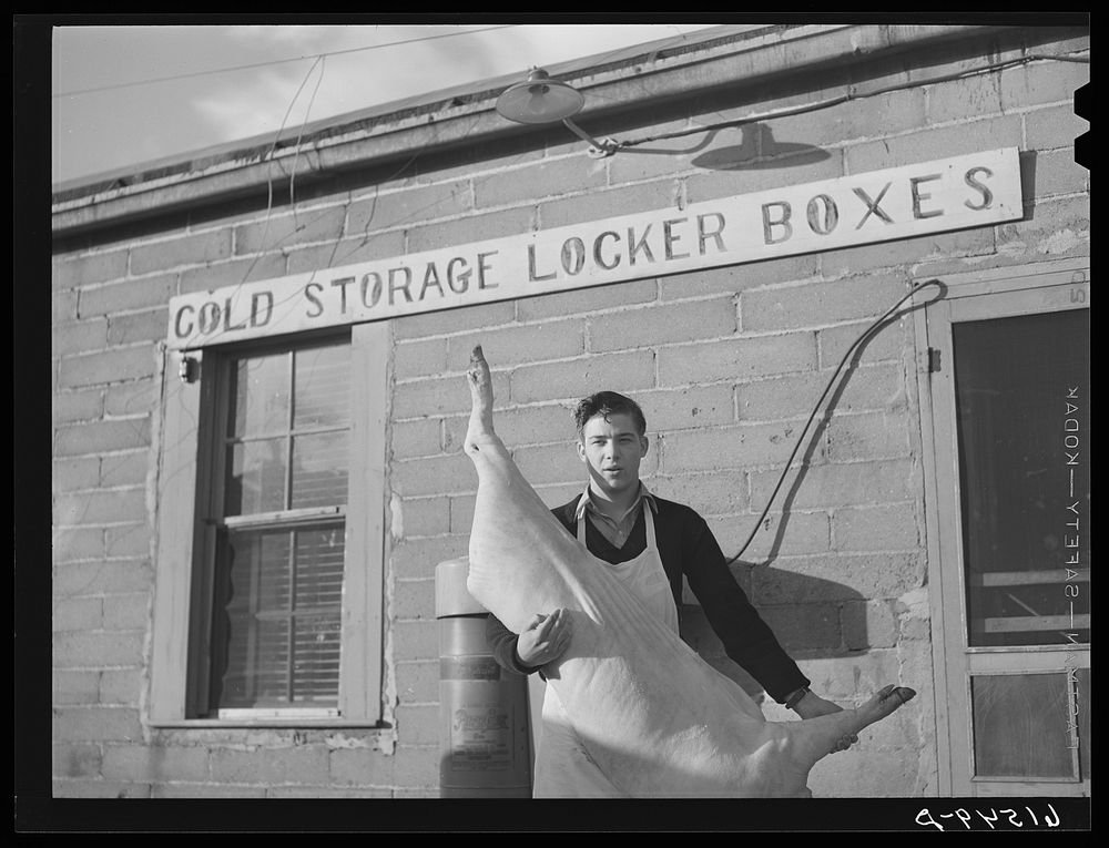 [Untitled photo, possibly related to: Farmers bring their own butchered pigs to cold storage lockers. Next year butchering…