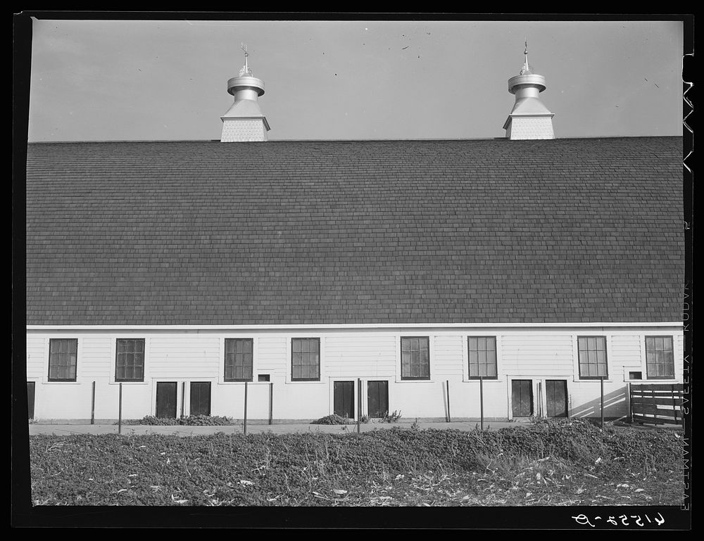 Barn on large farm in Red River Valley. Cass County, North Dakota. Sourced from the Library of Congress.