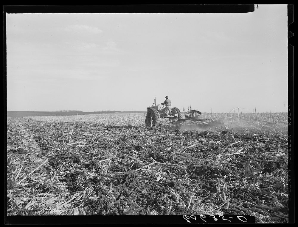 [Untitled photo, possibly related to: Breaking up corn stalks before plowing. Grundy County, Iowa]. Sourced from the Library…