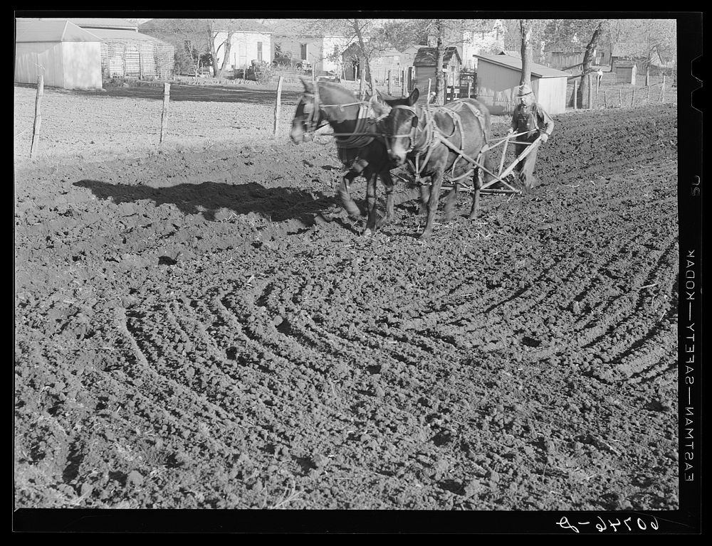 [Untitled photo, possibly related to: Man plowing fields in back of his house. Woodbine, Iowa]. Sourced from the Library of…