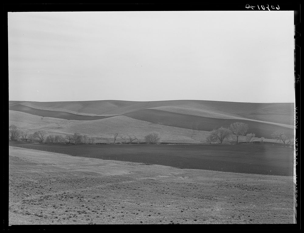 Western Iowa strip cropping. Monona County, Iowa. Sourced from the Library of Congress.