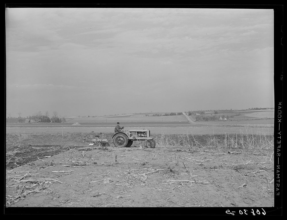 Discing to break up cornstalks before plowing. Greene County, Iowa. Sourced from the Library of Congress.