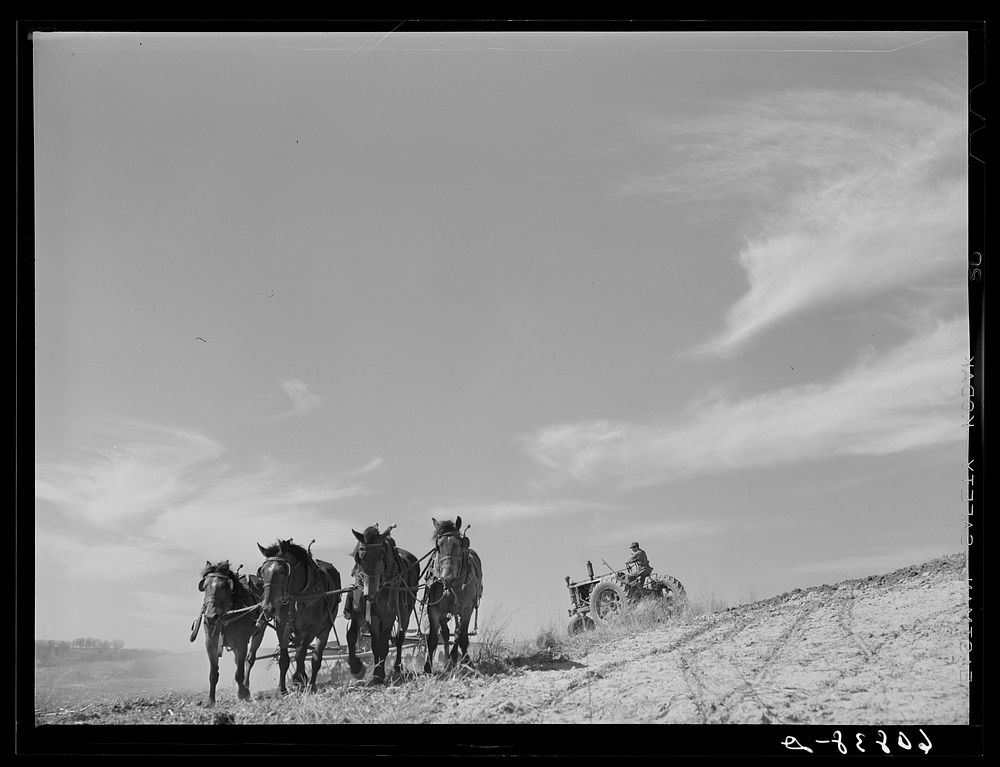 Discing with horses. listing with tractor. Western Iowa corn county. Monona County, Iowa. Sourced from the Library of…