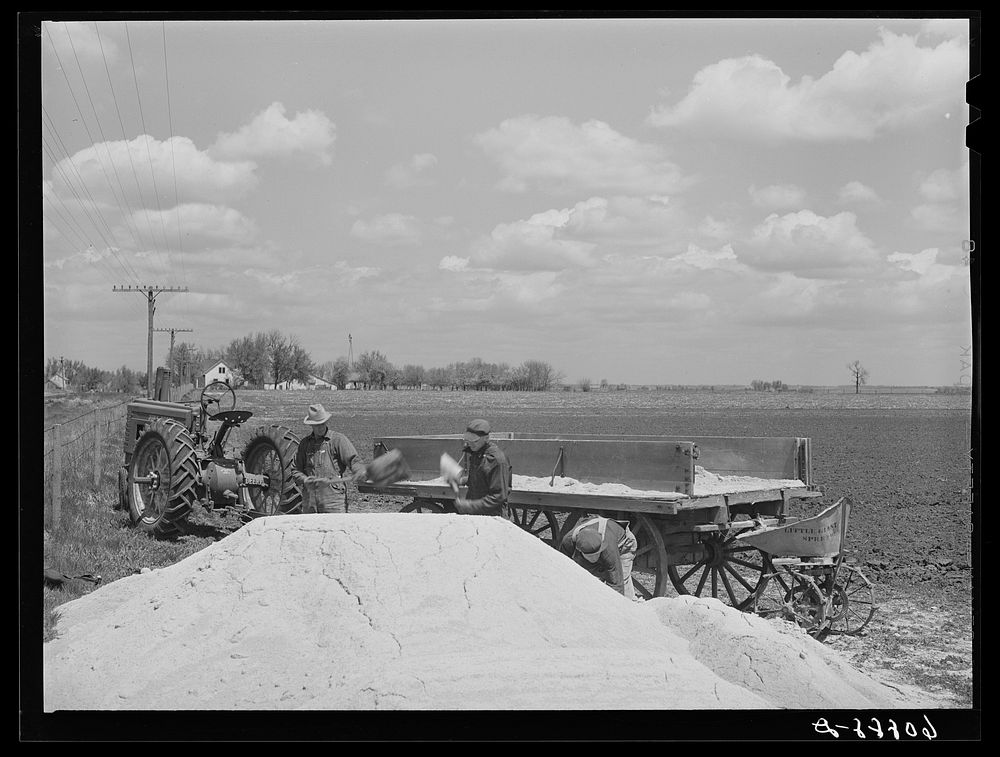 Loading wagon with lime to spread as fertilizer. Jasper County, Iowa. Sourced from the Library of Congress.
