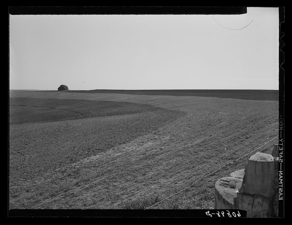 Contour planting and listing. Monona County, Iowa. Sourced from the Library of Congress.