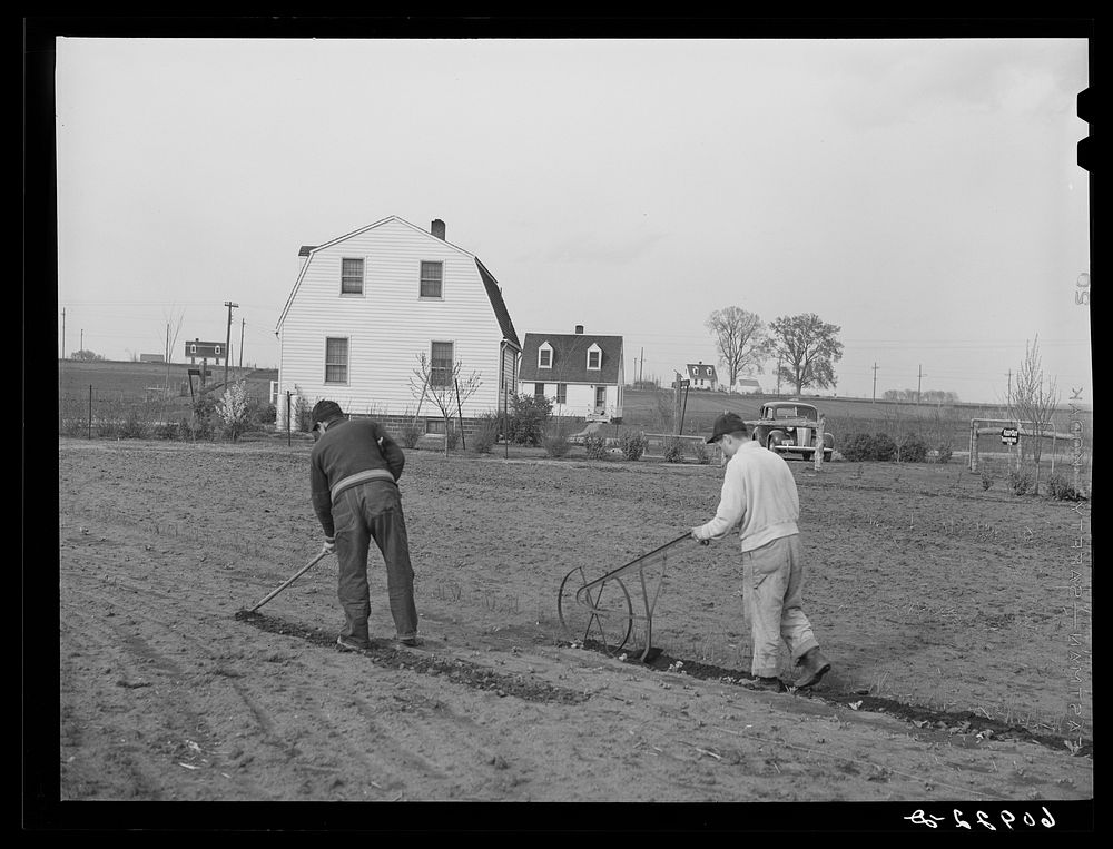 Working in garden. Granger Homesteads, Iowa. Sourced from the Library of Congress.