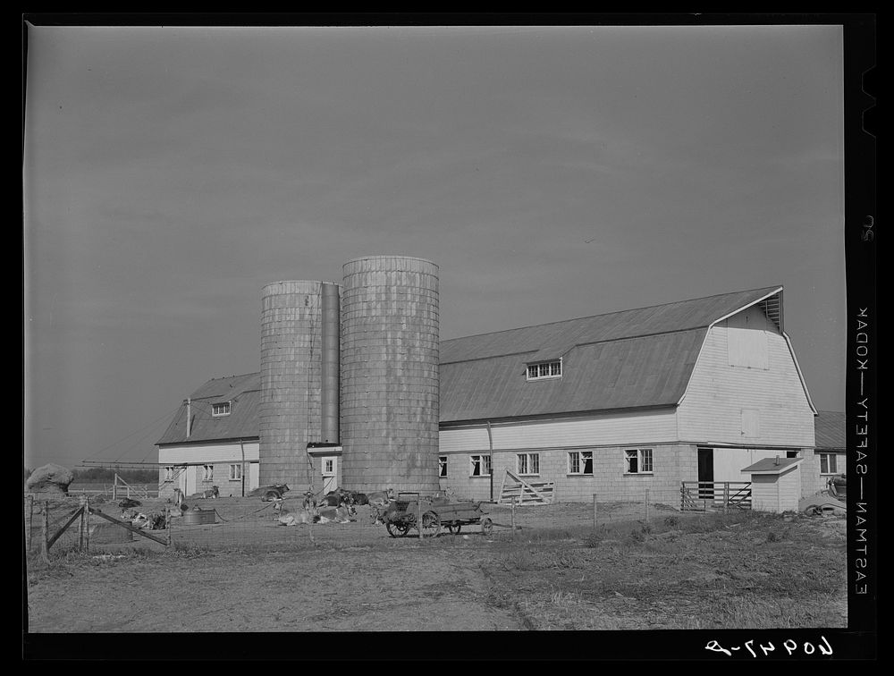 Cooperative dairy barn at Deshee Unit, Wabash Farms, Indiana. Sourced from the Library of Congress.