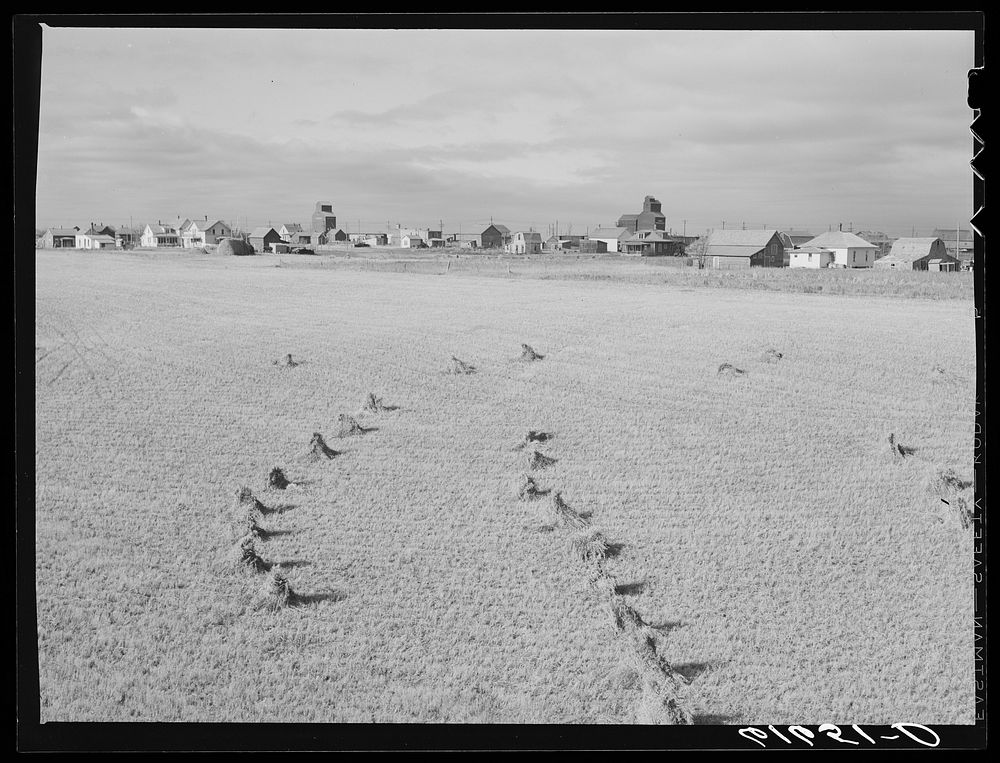 Surrey, North Dakota. Sourced from the Library of Congress.