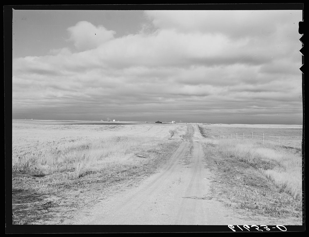 Farm road. Ward County, North Dakota. Sourced from the Library of Congress.