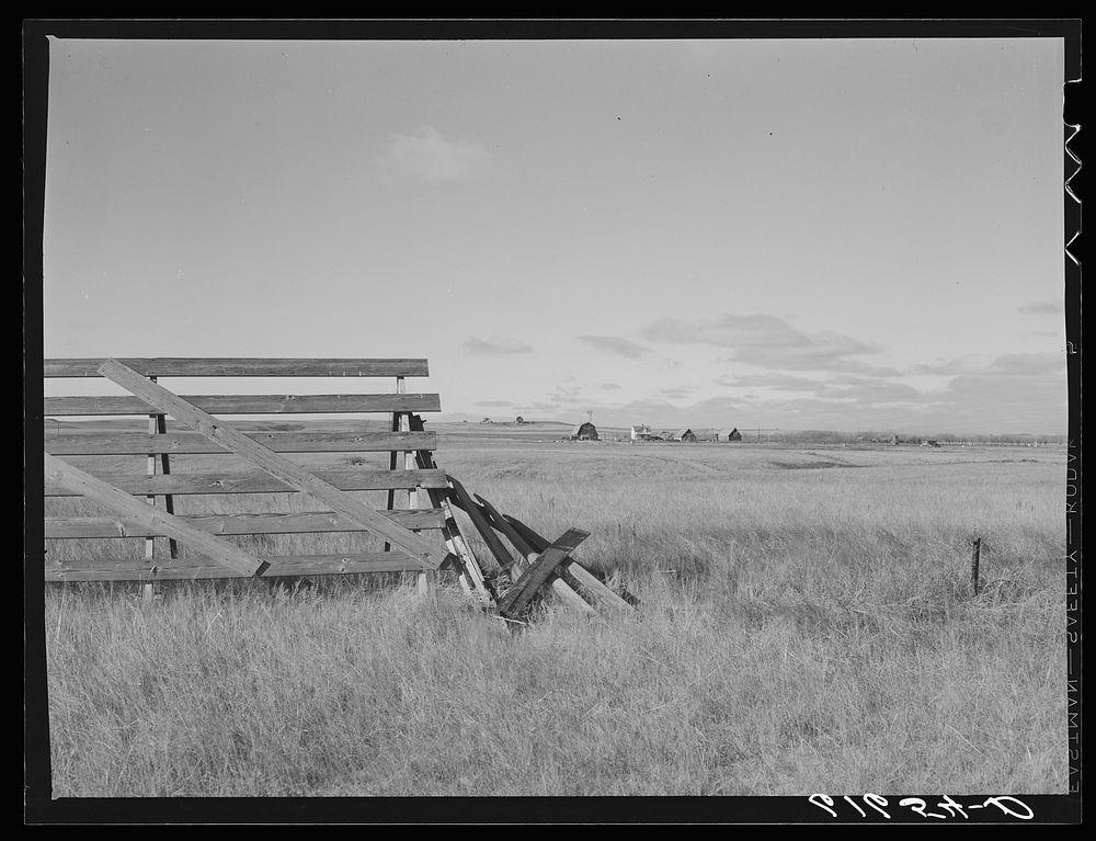 Snow fence and farm. Ward County, North Dakota. Sourced from the Library of Congress.