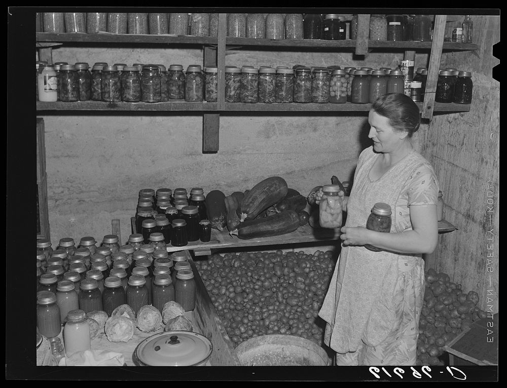 Mrs. Bettenhausen with canned goods in cellar. McIntosh County, North Dakota. Sourced from the Library of Congress.