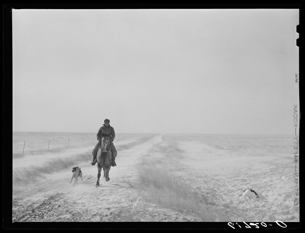 Riding out to bring the cattle. First stages of snow blizzard. Lyman County South Dakota. Sourced from the Library of…
