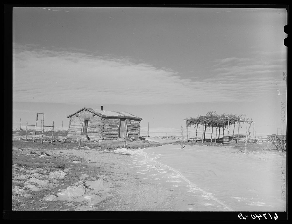 Cabin and stock shelter of Indian farmer. Todd County, South Dakota. Sourced from the Library of Congress.
