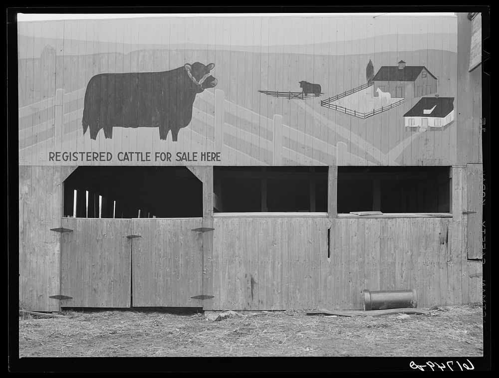 Painting in Piggott, Arkansas. Sourced from the Library of Congress.