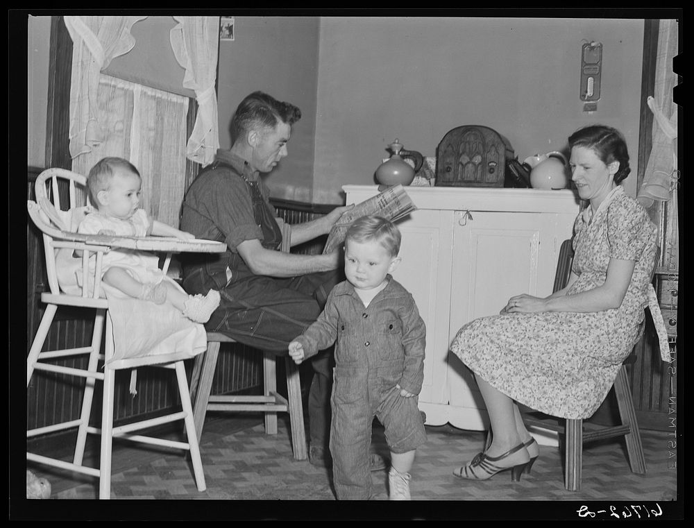 Owner of 120-acre farm with family. Meeker County, Minnesota. Sourced from the Library of Congress.