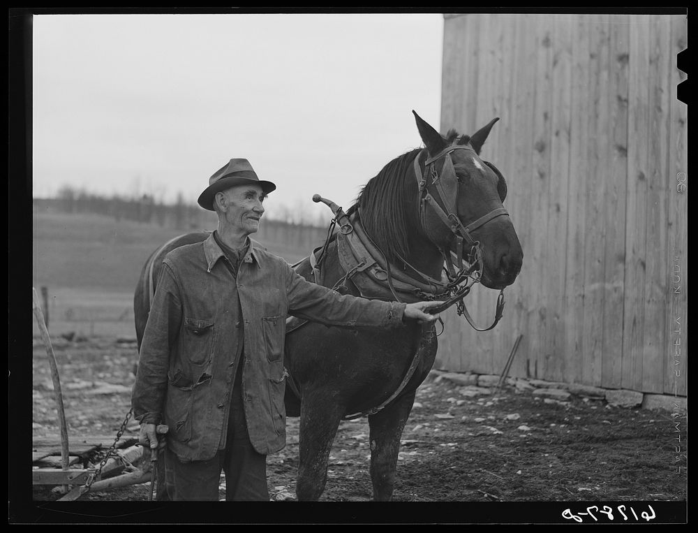Farmer and mule. Nicholas County, Kentucky. Sourced from the Library of Congress.