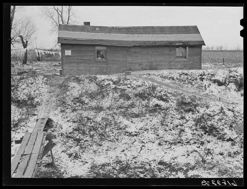 House on property of landowner occupied by day laborer and family. Scioto Marshes, Hardin County, Ohio. Sourced from the…