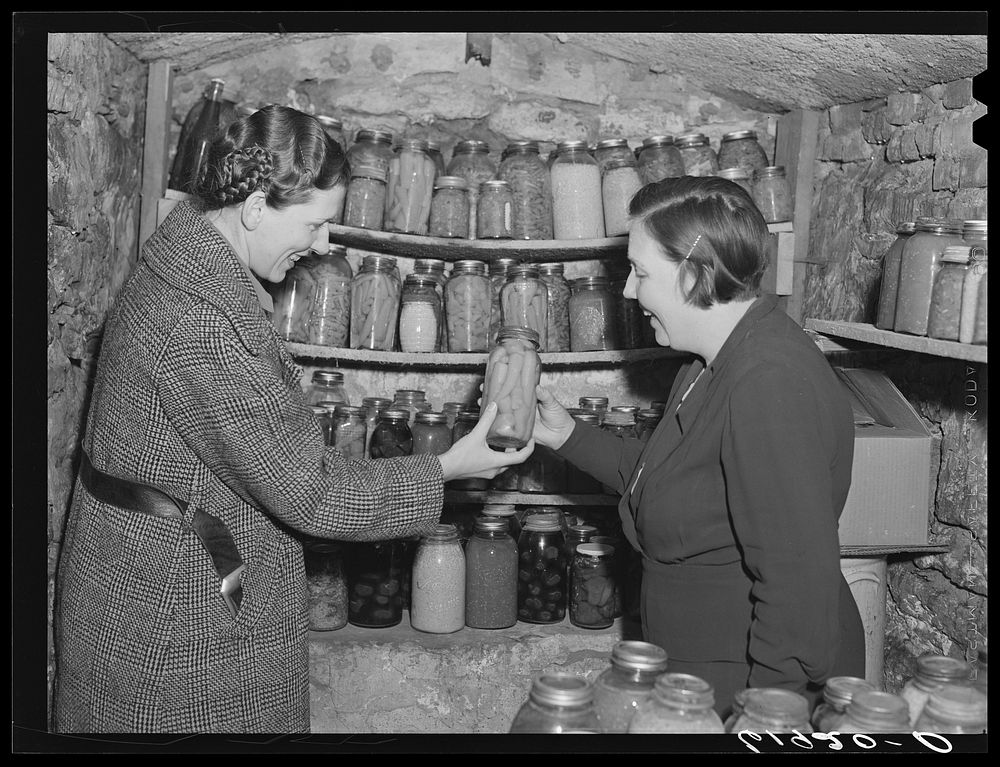 Home supervisor examining canned goods of rehabilitation borrower in food storage cave. Labette County, Kansas. Sourced from…