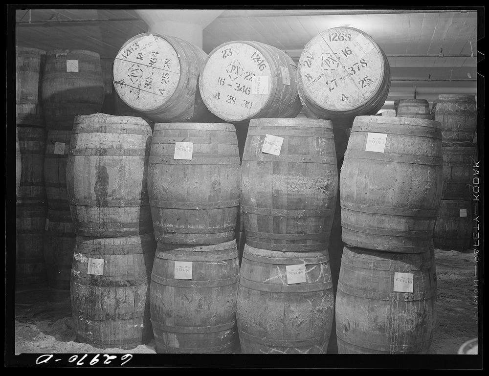 Tierces of pickled hams in storage at Fulton Market cold storage plant. Chicago, Illinois. Sourced from the Library of…