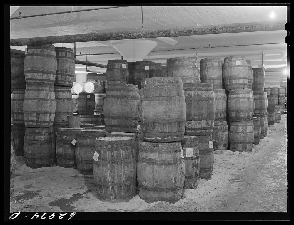 Tierces of pickled hams in storage at Fulton Market cold storage plant. Chicago, Illinois. Sourced from the Library of…