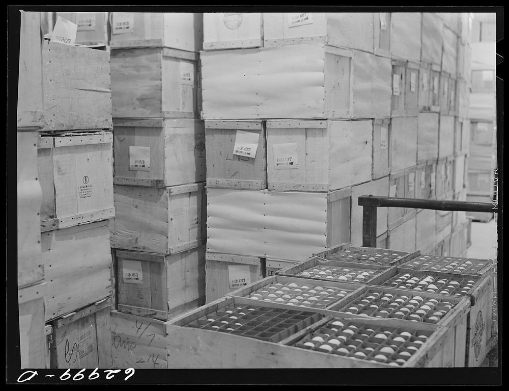 Eggs in storage at Fulton Market cold storage plant. Chicago, Illinois. Sourced from the Library of Congress.