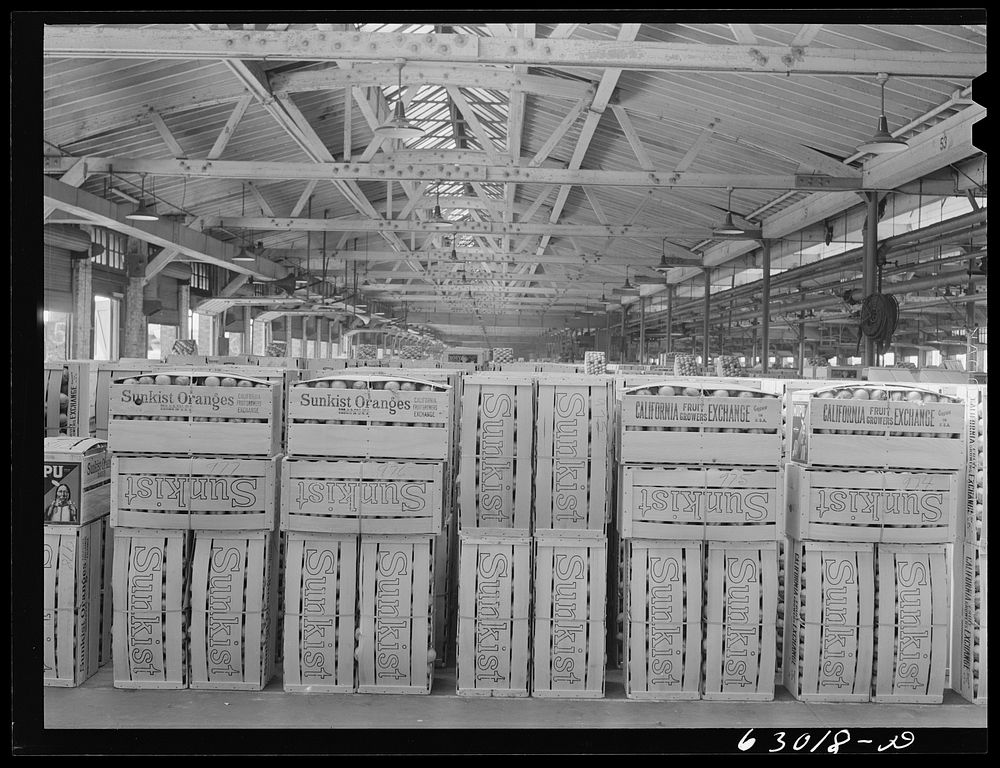 Warehouse at fruit terminal. Chicago, Illinois. Sourced from the Library of Congress.