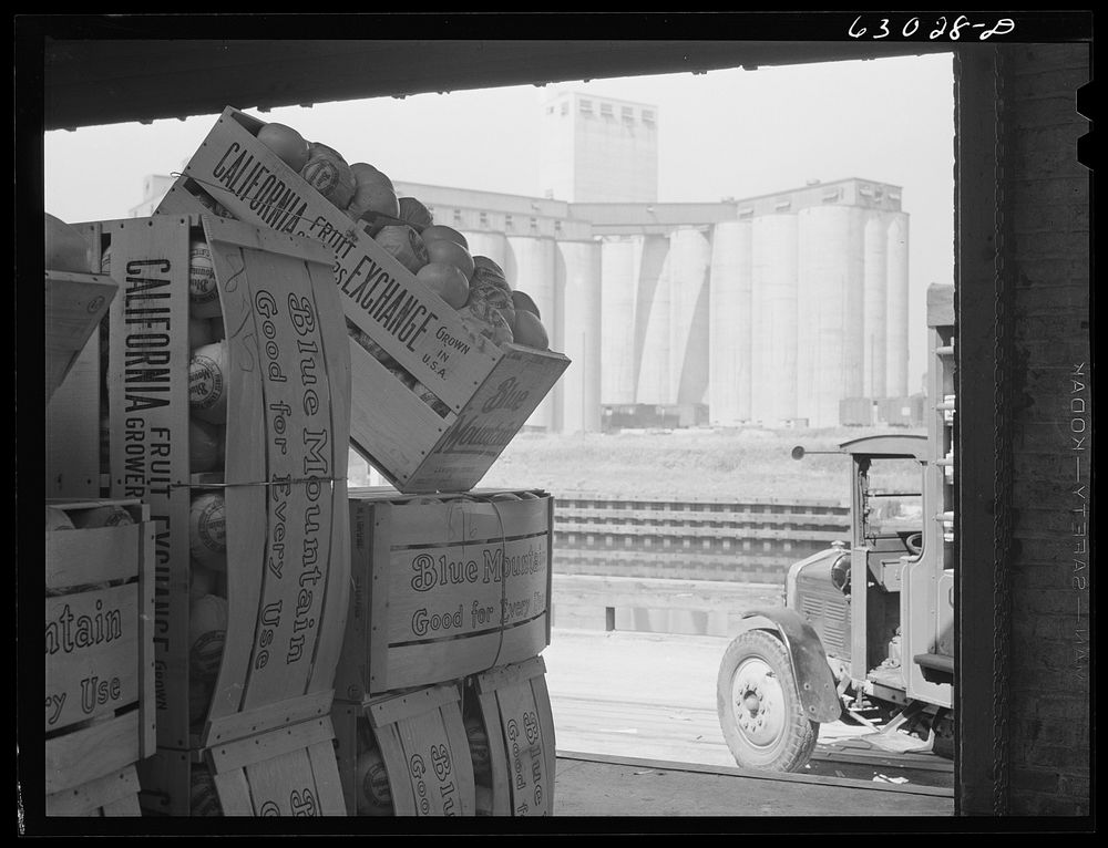 Fruit terminal and grain elevator. Crates from each shipment are opened and set up on end; these the commission merchants…