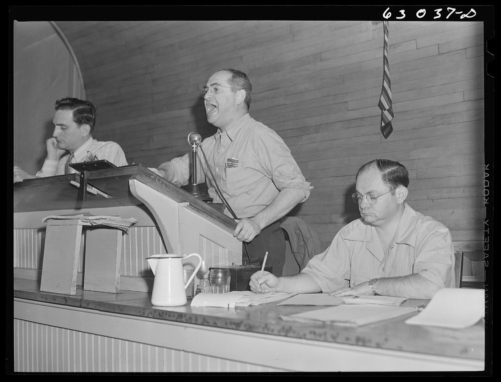 Auctioneer selling shipment of fruit at fruit terminal auction room. Chicago, Illinois. Sourced from the Library of Congress.