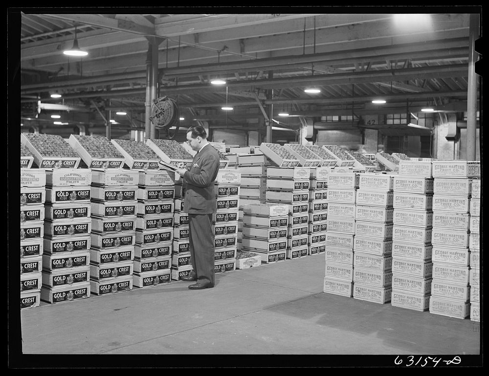 Commission merchant examining produce at fruit terminal. Chicago, Illinois. This is before auction which begins at seven…