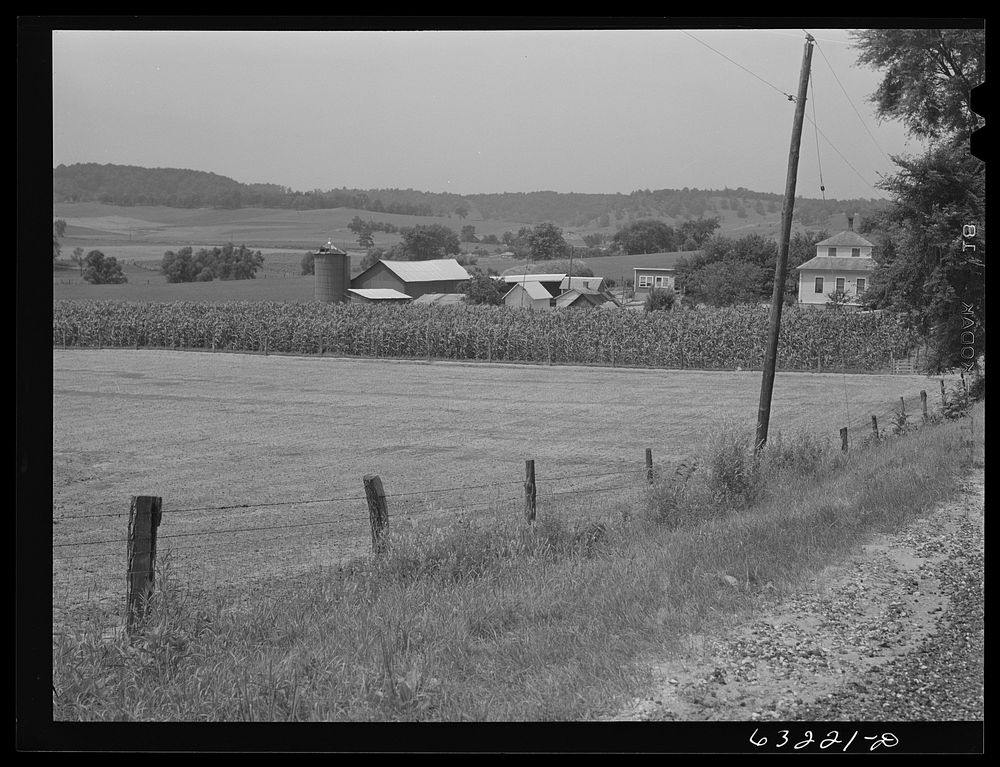 Dairy farm. Richland County, Wisconsin. Sourced from the Library of Congress.