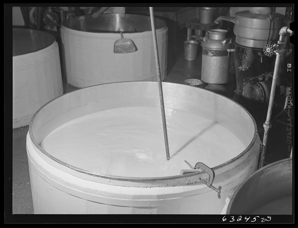 Swiss cheese cooking. Swiss cheese factory. Madison, Wisconsin. Sourced from the Library of Congress.