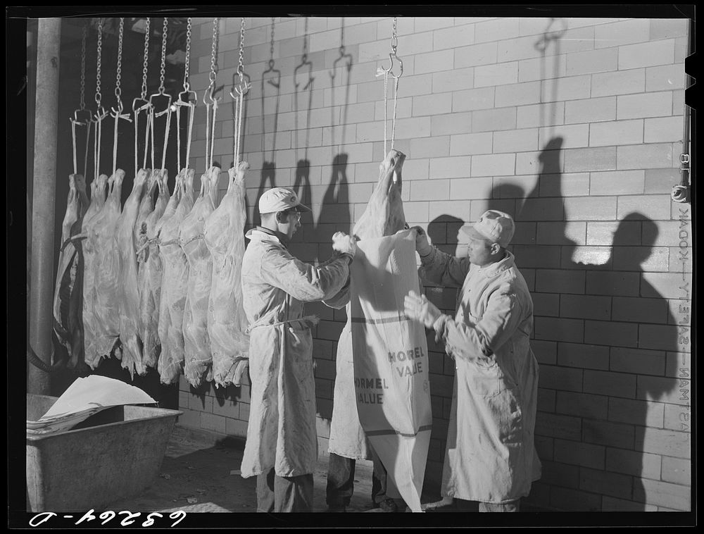 Putting young veal in sack. Packing plant. Austin, Minnesota. Sourced from the Library of Congress.