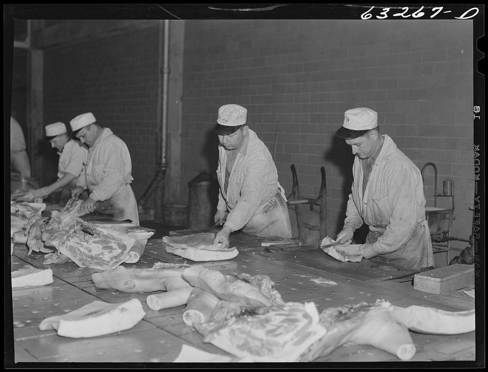 The hog cut. Packing plant. Austin, Minnesota. Sourced from the Library of Congress.