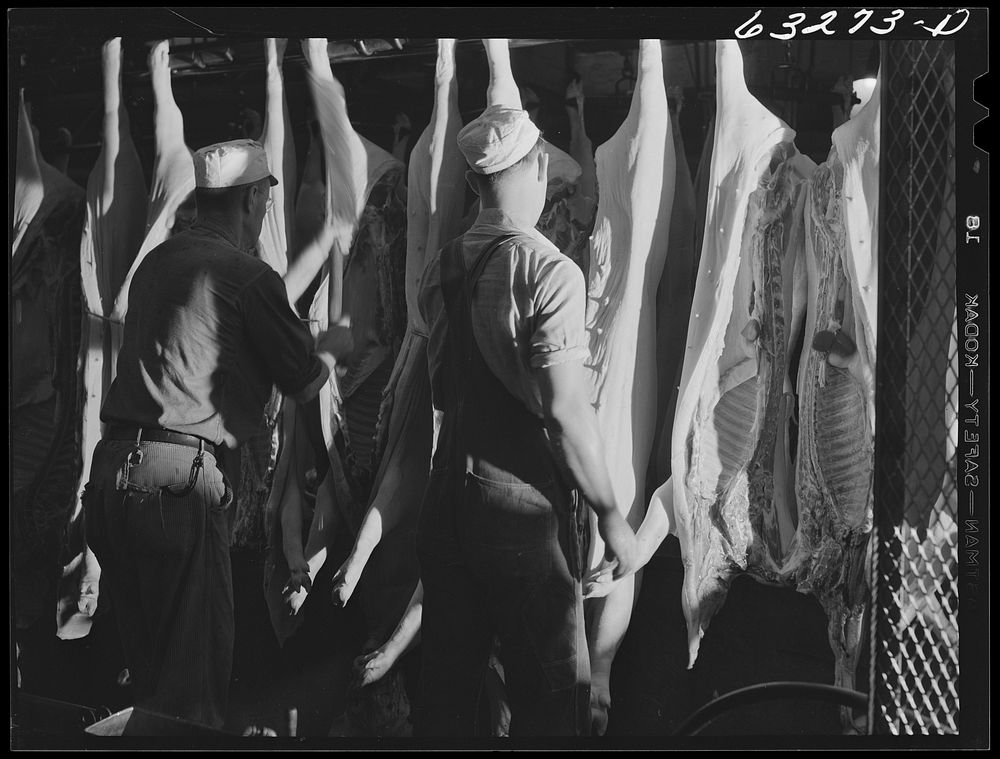 [Untitled photo, possibly related to: Government inspection of hog carcasses. Packing plant, Austin, Minnesota]. Sourced…