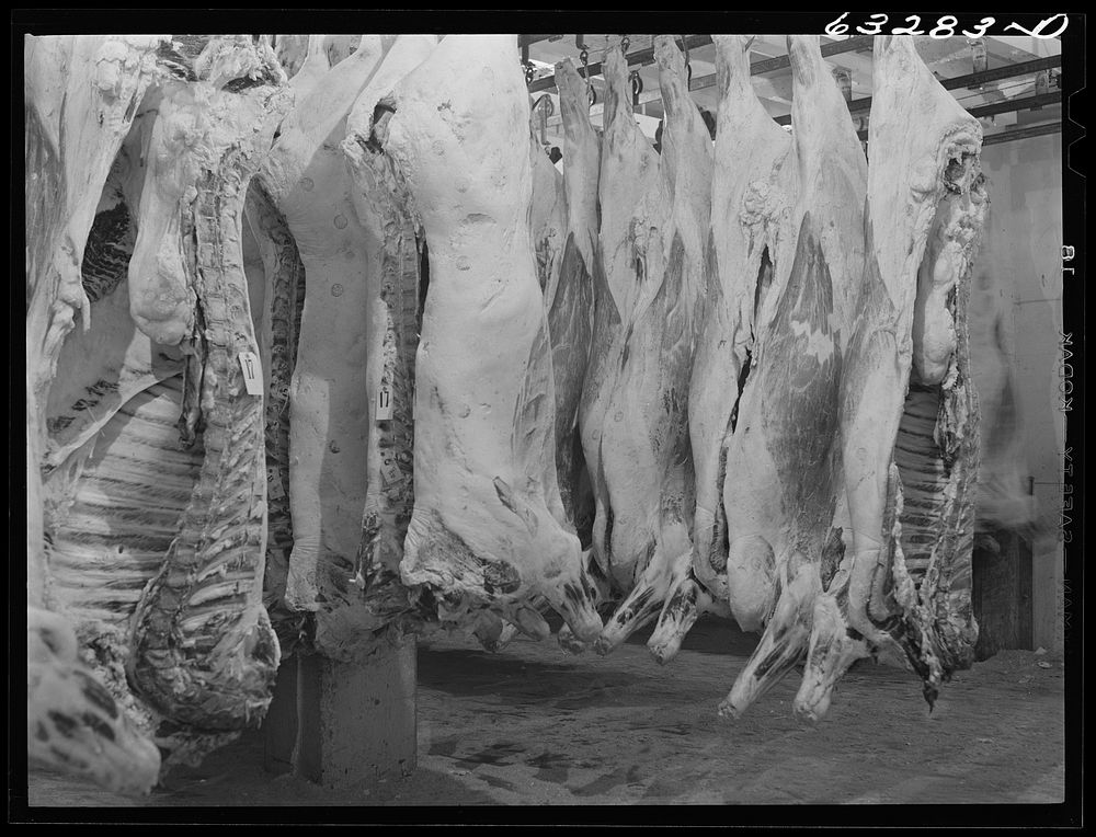 Beef in storage. Packing plant, Austin, Minnesota. Sourced from the Library of Congress.