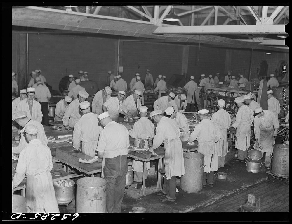 The hog cut. Belly section is removed for bacon. Packing plant, Austin, Minnesota. Sourced from the Library of Congress.